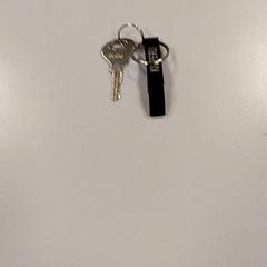 Llave Zwart, ha sido reportado por Vrije Universiteit Amsterdam con iLost