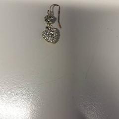 Náušnica Zilver, ako bolo nahlásené St. Antonius Ziekenhuis Nieuwegein pomocou iLost