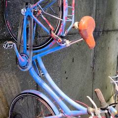 Emakumeen bizikleta Blauw, gisa salatu by Stadswerk072 iLost erabiliz