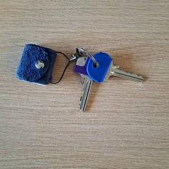 Chiave, come riportato da Keukenhof utilizzando iLost