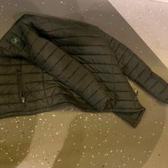 السترة GREY JACKET، كما تم الإبلاغ عنه بواسطة Room Mate Bruno عبر iLost