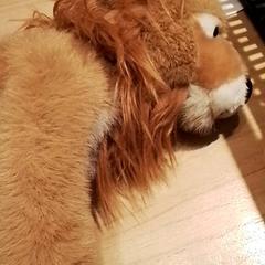 İLost kullanarak Beekse Bergen Resorts en Hotel tarafından bildirildiği gibi Sevimli oyuncak