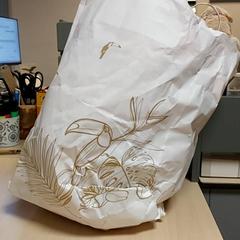 Väska - Papieren tas, rapporterat av Regio Oost-Vlaanderen med iLost