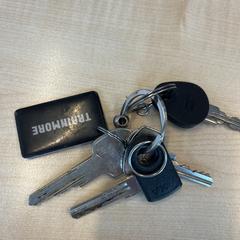 Sleutels, segons s'ha informat a iLost