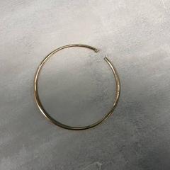イヤリング Goud がiLostで Arriva Friesland / Groningen によって報告されました
