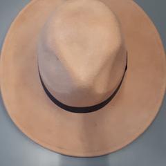 Hoed, a été signalé par Transdev Gooi en Vechtstreek utilisant iLost