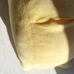 Knuffel Geel, a été signalé par DierenPark Amersfoort utilisant iLost