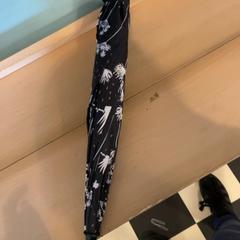 Paraugas, segundo informou Familie Resort Molenwaard usando iLost