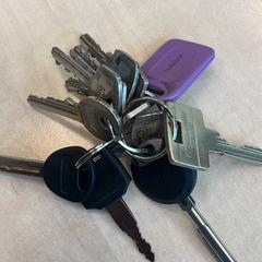 Keychain Paars label, as reported by Gemeente Utrecht using iLost