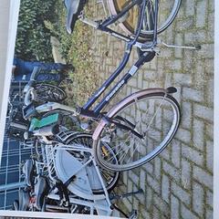 Damenrad, gemeldet von Gemeente Roermond über iLost