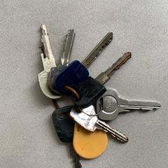 Sleutelbos, as reported to iLost