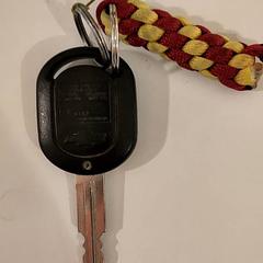 Chiave, come riportato da Bibliotheek Neude (Utrecht) utilizzando iLost