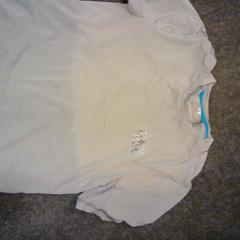 Kamiseta, gisa salatu by SnowWorld Landgraaf iLost erabiliz