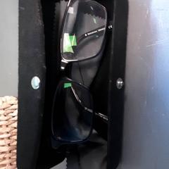 Óculos, como reportado por Diergaarde Blijdorp utilizando o iLost