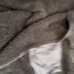 Vesta, ako bolo nahlásené Rotterdam The Hague Airport pomocou iLost