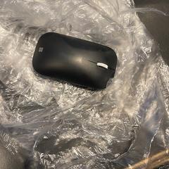 Muis Zwart, zoals gemeld door Hotel Van der Valk Harderwijk op de Veluwe met iLost