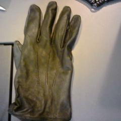 Guant, segons ha informat SnowWorld Landgraaf mitjançant iLost