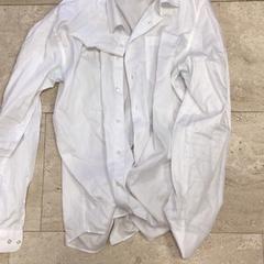 Bluse, som rapportert av Hotel van der Valk Maastricht ved bruk av iLost