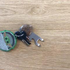 İLost kullanarak Gemeente Alkmaar tarafından bildirildiği gibi Anahtarlar