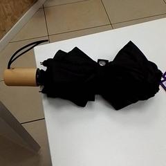 Paraply, som rapportert av ilévia ved bruk av iLost