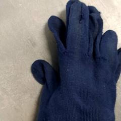 手袋 Blauw がiLostで Arriva Friesland / Groningen によって報告されました