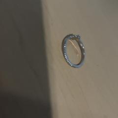 Anell, segons ha informat Jaarbeurs mitjançant iLost