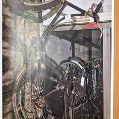 Damenrad, gemeldet von Gemeente Roermond über iLost