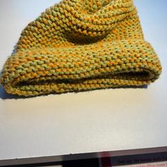 Bonnet, a été signalé par Madurodam utilisant iLost