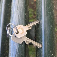 Sleutels a été signalé sur iLost