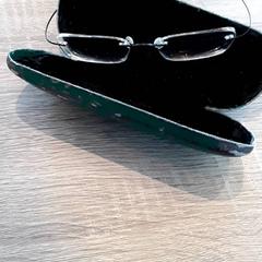 Briller, som rapportert av EBS Tramplein ved bruk av iLost