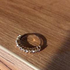 Anel, segundo informou Attractie- & Vakantiepark Slagharen usando iLost