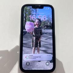 Telefoon, iLost에 보고됨