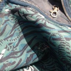 Mochila, segundo informou Walibi Holland usando iLost