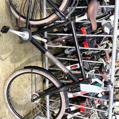 Bicicleta de hombre Giant, ha sido reportado por Stadswerk072 con iLost