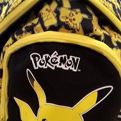 Batoh, jak nahlášeno Qbuzz Fryslân pomocí iLost