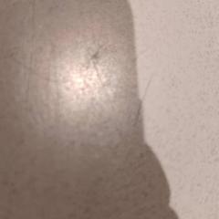 サングラス がiLostで De Efteling によって報告されました