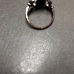 Anel, como reportado por Arriva Friesland / Groningen utilizando o iLost