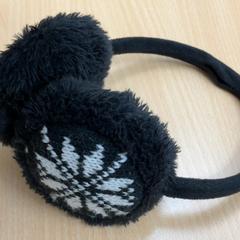 Ohrschützer, como reportado por Schönbrunn "Group Center" utilizando o iLost