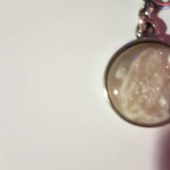 Collar, ha sido reportado por Beeld & Geluid Hilversum con iLost