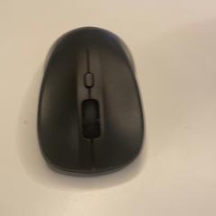 Ratolí de l'ordinador, segons ha informat UMC Utrecht mitjançant iLost