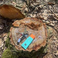 Sleutelbos, jak bylo nahlášeno na iLost