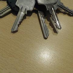 Porte-clés, a été signalé par Walibi Holland utilisant iLost