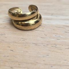 Bague, a été signalé par Gemeente Wageningen utilisant iLost