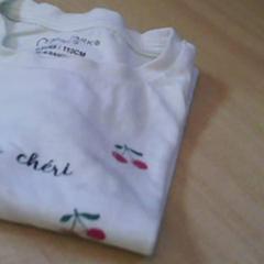Camiseta wit met rode kersen, segundo informou Het Spoorwegmuseum usando iLost