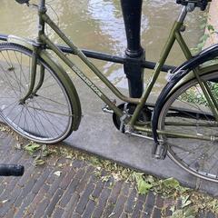 Oude Groene Fiets Holland Look, som rapporterats till iLost