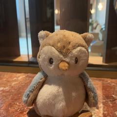 Knuffel Uil, segons ha informat Van der Valk Hotel Eindhoven - Best mitjançant iLost