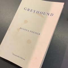 İLost kullanarak Eindhoven Airport tarafından bildirildiği gibi Kitap