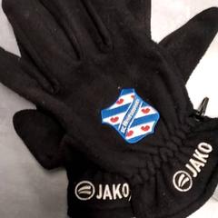 Luvas Zwart, segundo informou Arriva Friesland / Groningen usando iLost