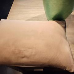 Párna Bruin, amint azt Van der Valk Hotel Vianen az iLost segítségével jelentette.