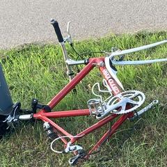 Rode cannondale fiets, som rapportert til iLost